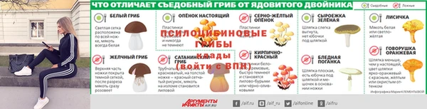 мескалин Няндома