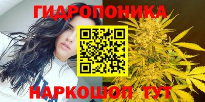 наркотики Берёзовский