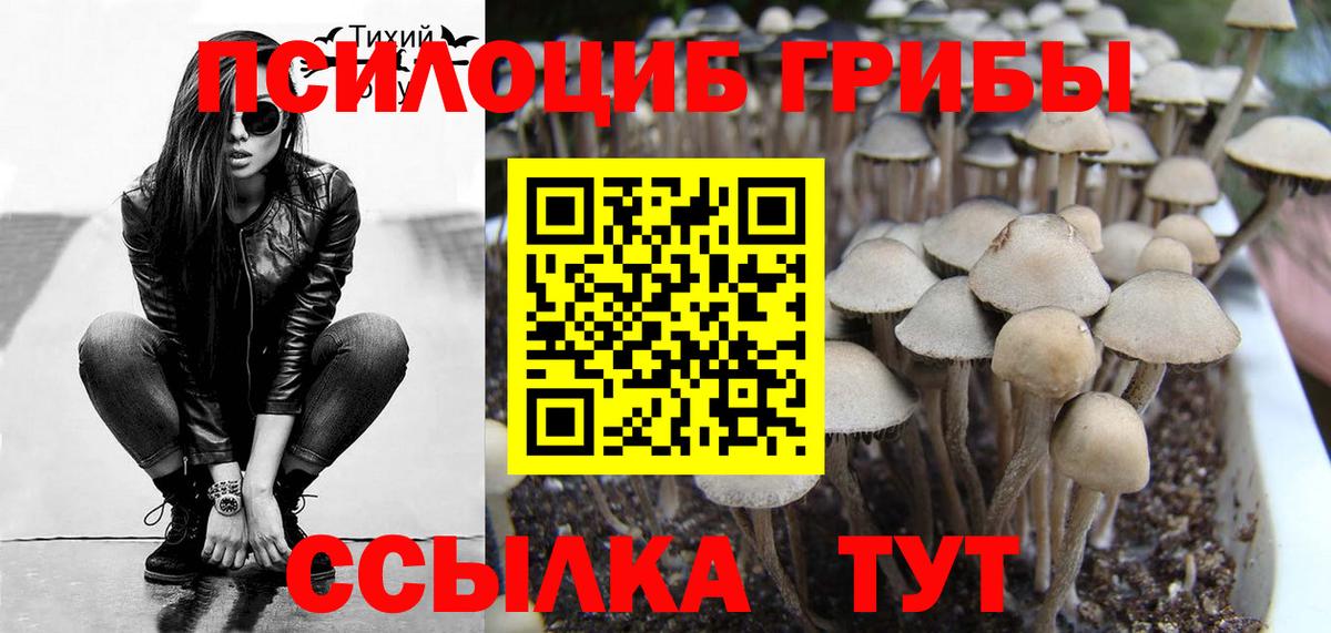 Галлюциногенные грибы GOLDEN TEACHER  Галлюциногенные грибы Psilocybe  Тюмень 