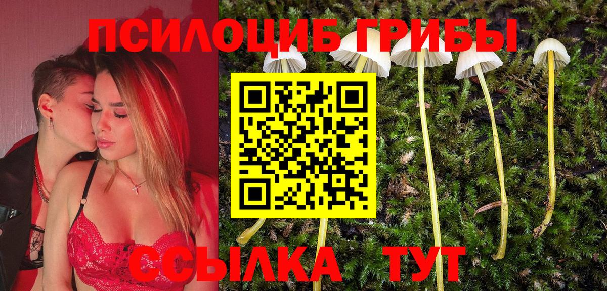 Псилоцибиновые грибы Psilocybine cubensis Тюмень